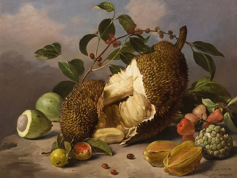 1824-Agostinho José da Mota - Natura morta con frutta